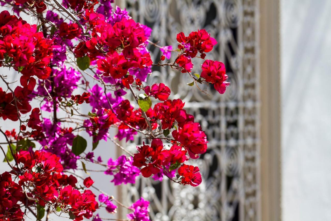 Riad Clementine Marrakesh Buitenkant foto